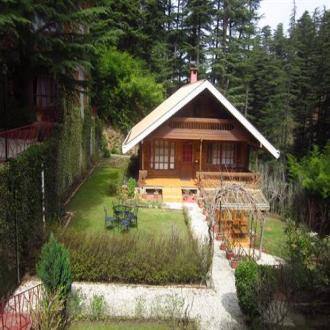 TG Stays Chalets Naldehra, Shimla 3